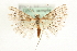  ( - MM15762)  @14 [ ] CreativeCommons - Attribution (2010) Unspecified Centre for Biodiversity Genomics