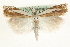  ( - MM15787)  @13 [ ] CreativeCommons - Attribution (2010) Unspecified Centre for Biodiversity Genomics