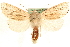 ( - MM15862)  @14 [ ] CreativeCommons - Attribution (2010) Unspecified Centre for Biodiversity Genomics