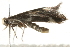  ( - MM14309)  @12 [ ] CreativeCommons - Attribution (2010) Unspecified Centre for Biodiversity Genomics