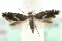  ( - MM14363)  @14 [ ] CreativeCommons - Attribution (2010) Unspecified Centre for Biodiversity Genomics