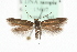  ( - MM15607)  @14 [ ] CreativeCommons - Attribution (2010) Marko Mutanen Centre for Biodiversity Genomics