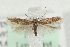  ( - MM15634)  @14 [ ] CreativeCommons - Attribution (2010) Marko Mutanen Centre for Biodiversity Genomics