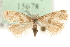  ( - MM15678)  @13 [ ] CreativeCommons - Attribution (2010) Marko Mutanen Centre for Biodiversity Genomics