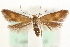 ( - MM15751)  @14 [ ] CreativeCommons - Attribution (2010) Marko Mutanen Centre for Biodiversity Genomics