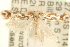  ( - MM11461)  @14 [ ] CreativeCommons - Attribution (2010) Unspecified Centre for Biodiversity Genomics