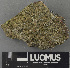  (Lecidella drakensis - H9243096)  @11 [ ] by-nc (2024) Erkka Laine Luomus