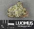  ( - H9243656)  @11 [ ] by-nc (2024) Erkka Laine Luomus