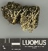  ( - H9247690)  @11 [ ] by-nc (2025) Erkka Laine Luomus
