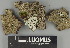  ( - H9247385)  @11 [ ] by-nc (2025) Erkka Laine Luomus