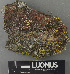  ( - H9243199)  @11 [ ] by-nc (2024) Erkka Laine Luomus