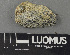  ( - H9243105)  @11 [ ] by-nc (2024) Erkka Laine Luomus