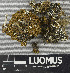  ( - H9243382)  @11 [ ] by-nc (2024) Erkka Laine Luomus
