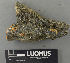  ( - H9243291)  @11 [ ] by-nc (2024) Erkka Laine Luomus