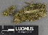  ( - H9247298)  @11 [ ] by-nc (2025) Erkka Laine Luomus