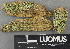  ( - H9243667)  @11 [ ] by-nc (2024) Erkka Laine Luomus