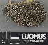  ( - H9243481)  @11 [ ] by-nc (2024) Erkka Laine Luomus