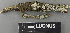  ( - H9243574)  @11 [ ] by-nc (2024) Erkka Laine Luomus