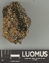  ( - H9247702)  @11 [ ] by-nc (2025) Erkka Laine Luomus
