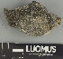  ( - H9247466)  @11 [ ] by-nc (2025) Erkka Laine Luomus