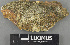  ( - H9243674)  @11 [ ] by-nc (2024) Erkka Laine Luomus
