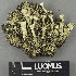  ( - H9243395)  @11 [ ] by-nc (2024) Erkka Laine Luomus