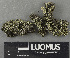  ( - H9243491)  @11 [ ] by-nc (2024) Erkka Laine Luomus