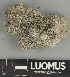  ( - H9247470)  @11 [ ] by-nc (2025) Erkka Laine Luomus