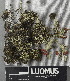  ( - H9243024)  @11 [ ] by-nc (2024) Erkka Laine Luomus