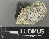  ( - H9235061.1)  @11 [ ] by-nc (2024) Erkka Laine Luomus