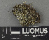  ( - H9243120)  @11 [ ] by-nc (2024) Erkka Laine Luomus