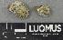  ( - H9243586)  @11 [ ] by-nc (2024) Erkka Laine Luomus