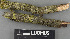  ( - H9243680)  @11 [ ] by-nc (2024) Erkka Laine Luomus