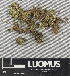  ( - H9243681)  @11 [ ] by-nc (2024) Erkka Laine Luomus