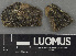  ( - H9243122)  @11 [ ] by-nc (2024) Erkka Laine Luomus