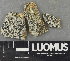 ( - H9243495)  @11 [ ] by-nc (2024) Erkka Laine Luomus