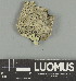  ( - H9247621)  @11 [ ] by-nc (2025) Erkka Laine Luomus