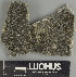  ( - H9237676.1)  @11 [ ] by-nc (2025) Erkka Laine Luomus