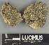 ( - H9211466)  @11 [ ] by-nc (2025) Erkka Laine Luomus