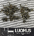 ( - H9243501)  @11 [ ] by-nc (2024) Erkka Laine Luomus
