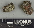  ( - H9247409)  @11 [ ] by-nc (2025) Erkka Laine Luomus