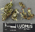  ( - H9243407)  @11 [ ] by-nc (2024) Erkka Laine Luomus