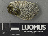  ( - H9243226)  @11 [ ] by-nc (2024) Erkka Laine Luomus
