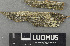  ( - H9243597)  @11 [ ] by-nc (2024) Erkka Laine Luomus