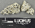  ( - H9243690)  @11 [ ] by-nc (2024) Erkka Laine Luomus