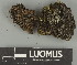  ( - H9247631)  @11 [ ] by-nc (2025) Erkka Laine Luomus