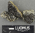 ( - H9243692)  @11 [ ] by-nc (2024) Erkka Laine Luomus