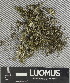  ( - H9247413)  @11 [ ] by-nc (2025) Erkka Laine Luomus