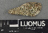  ( - H9243135)  @11 [ ] by-nc (2024) Erkka Laine Luomus