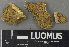  ( - H9243231)  @11 [ ] by-nc (2024) Erkka Laine Luomus